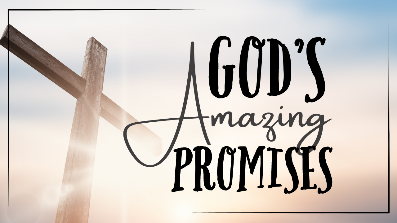 God's Amazing Promises Series